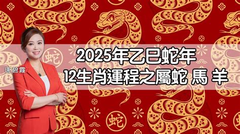 蛇跟豬|2025乙巳蛇年「四大生肖須攝太歲」屬蛇犯太歲建議這樣做避險